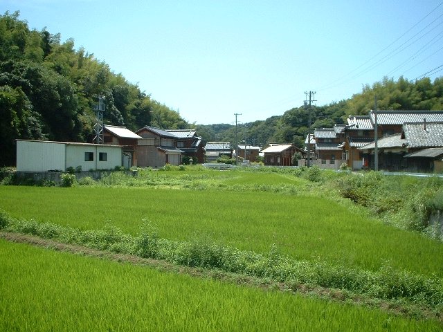 ΂̂イ񂪂₩ł
