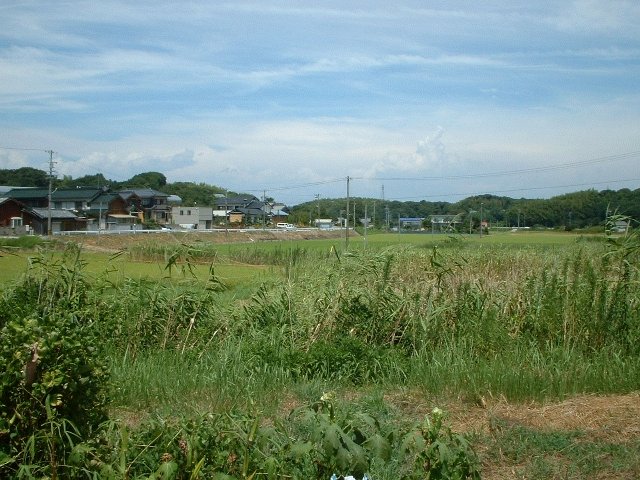 炵iFł
