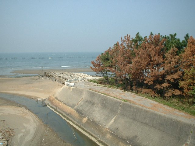 炢`