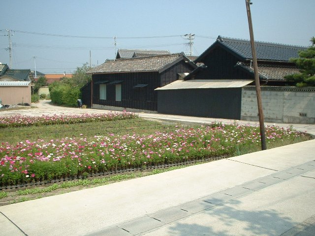 炢͔čs