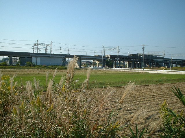 Eӂӂ