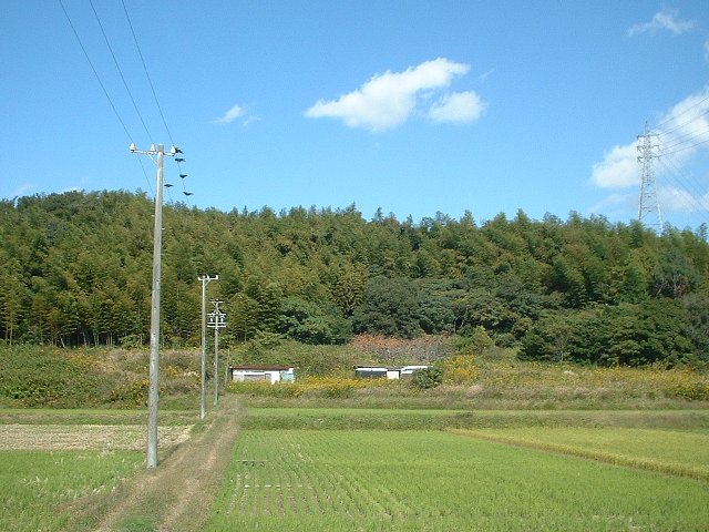 JXɎnH