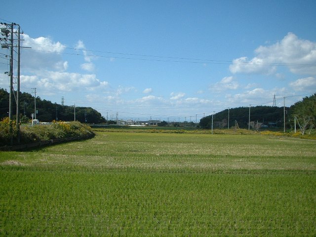cڃl