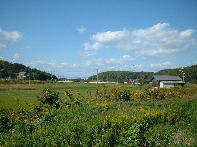 nH̉_