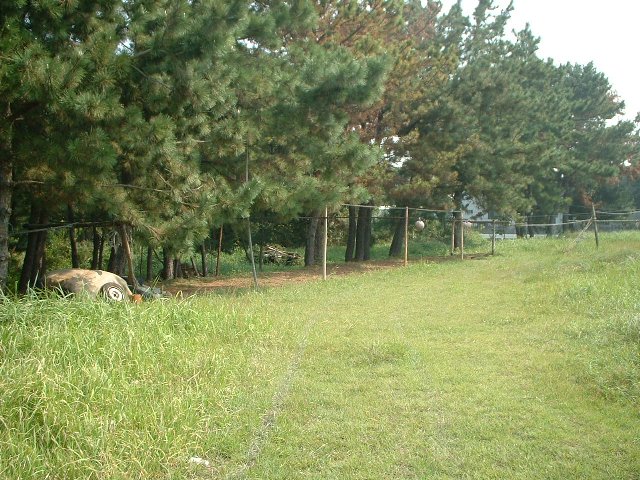 ڂڂB