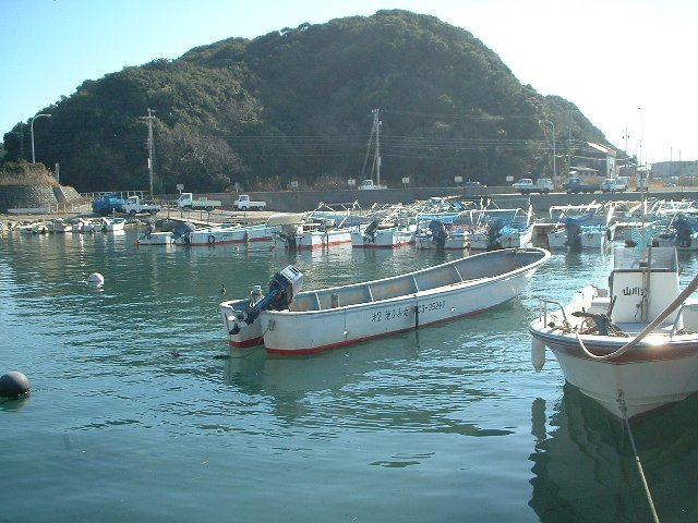 sRg