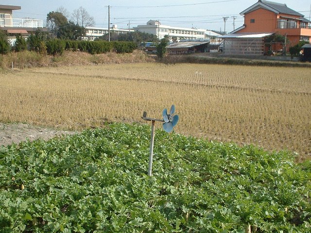 Ułς炤