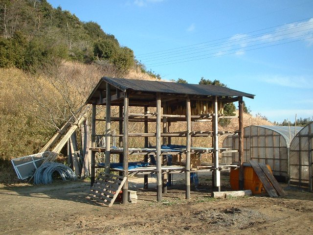 tAǂȂAˌ