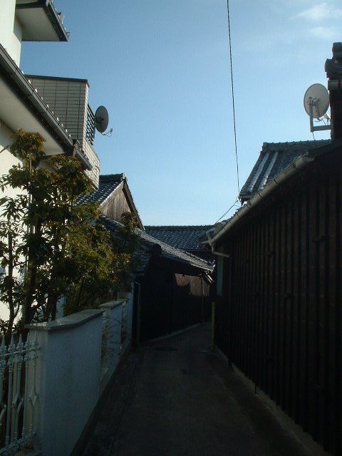 ygłƂтȂ