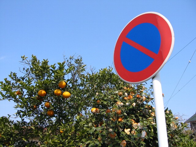 փ}[NƉĂ݂